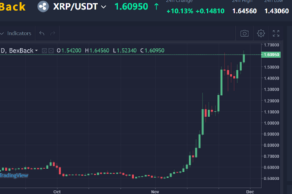 XRP and ADA up 200% in a month, with some people making 20,000%