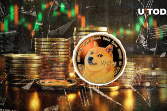 1.1 Billion DOGE in One Hour, What's Going On?