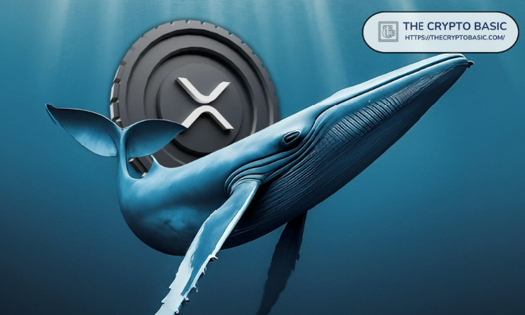 XRP Welcomes 511,430 Wallets Amid Price Pump with 2,365 Whale Transactions