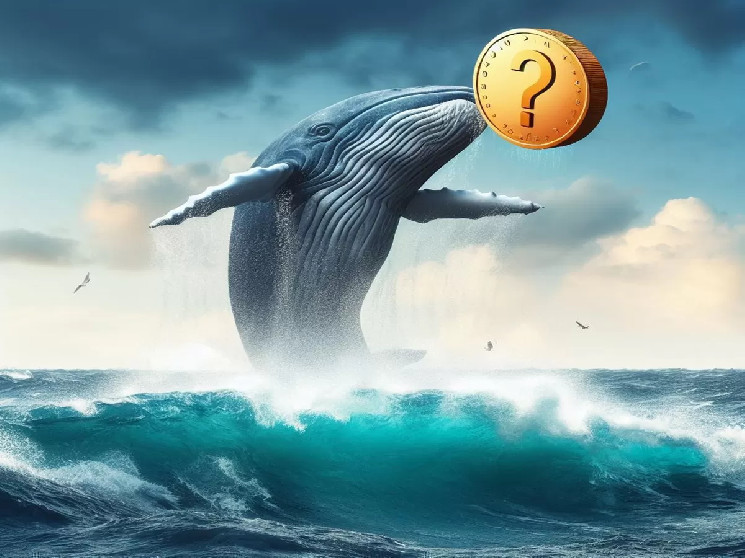 Santiment Reveals 10 Altcoins That Whales Are Flocking To As Bitcoin (BTC) Rises!