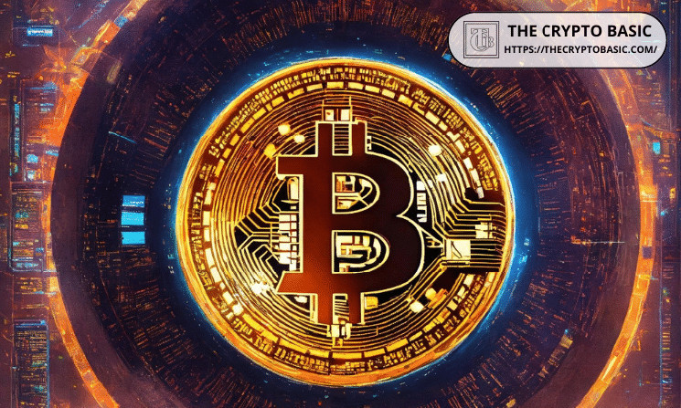 Bitcoin Now Less Volatile Than Nvidia, PayPal, and AMD in Sign of Growing Maturity