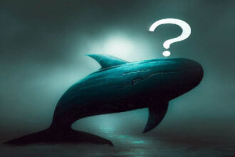Giant Cryptocurrency Whale Lost Big on This Altcoin: $12 Million Evaporated