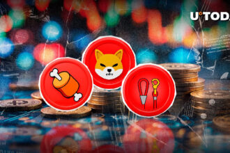 SHIB Developer Issues Crucial Alert