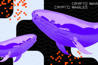 Which Meme Coins Whales are Selling in February