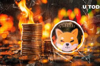How Do SHIB Burns Affect Shiba Inu Price?