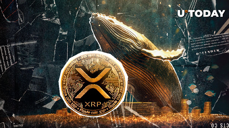 $51,849,820 XRP Withdrawn From Major Crypto Exchange