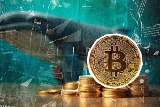 Bitcoin Whale Accumulation Hits Highest Level Since April 2024