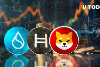 Shiba Inu Flips Hedera and SUI Amid Bullish Rebound