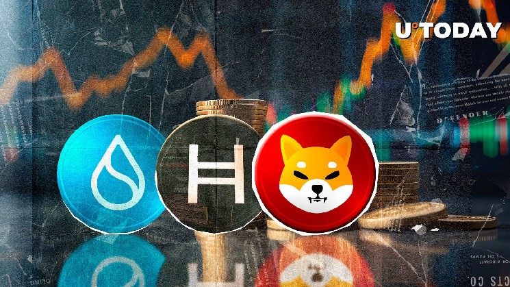 Shiba Inu Flips Hedera and SUI Amid Bullish Rebound