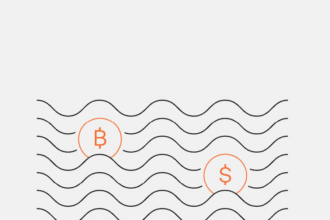 DWF Labs Mints 1USD on BNB Chain