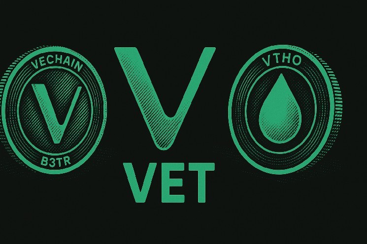 VTHO Listed on Bybit with 110M Prize Pool—Why It Matters More Than You Think