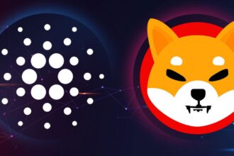 crypto coins