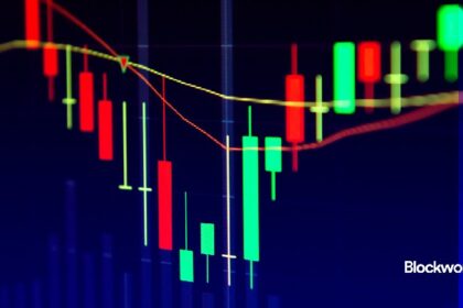 Navigating crypto exposures in a volatile world