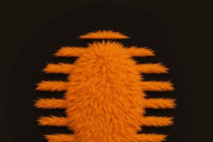 SpoonOS Launches with $2M Ecosystem Fund to Power AI Agent Economy on Web3