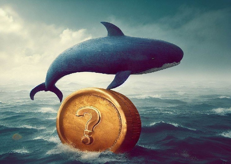 Smart Investor Did the Complete Reverse of Legendary Whale James Wynn's Bitcoin and Ethereum Trades, Earned $5.6 Million in Just Three Days!