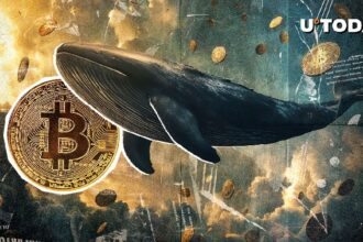 $810 Million Bitcoin Long Whale Doubles Down on His BTC Bet: Details