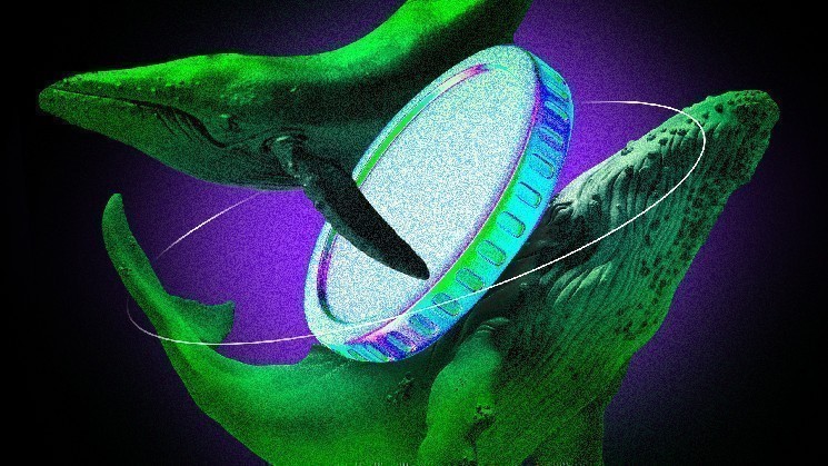 What Crypto Whales are Buying Ahead of the TRUMP Dinner