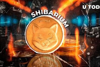 Major Shibarium Upgrade Brings Radical Change to SHIB Burns: Details