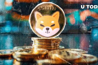 10,620,000,000 in 24 Hours, Shiba Inu Sets Unexpected Volume Record