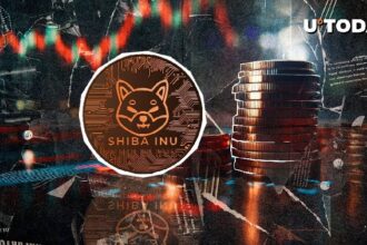 Shiba Inu Burn Rate Rockets 12,833.29%, SHIB Price Up for Comeback?