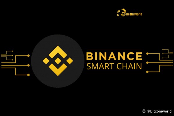 BSC Foundation Boosts Ecosystem with Strategic Crypto Purchase
