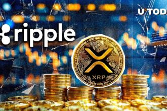 Ripple Makes Massive Transfers as XRP Celebrates 13th Birthday