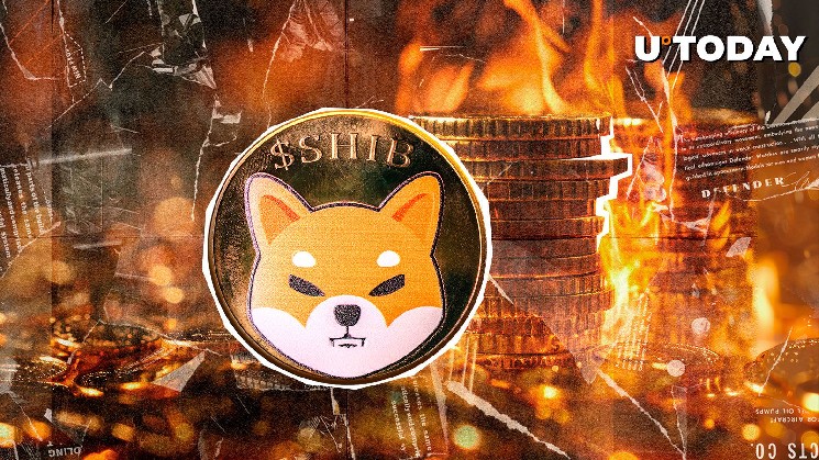 1,254,539,419 SHIB Goes Up in Smoke But Total Supply Hardly Dented