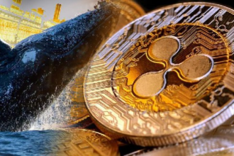 XRP Whales Signal Confidence with Massive Accumulation, Breakout on Horizon?