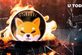 Shiba Inu Skyrockets 5,223% in Burns as Millions of SHIB Vanish