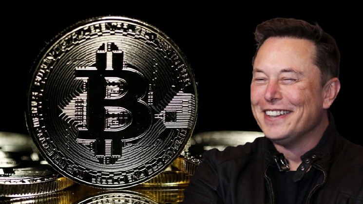 Elon Musk Founded His Own Political Party in the US – What Does This Mean for Bitcoin (BTC) and How Will It Affect It?