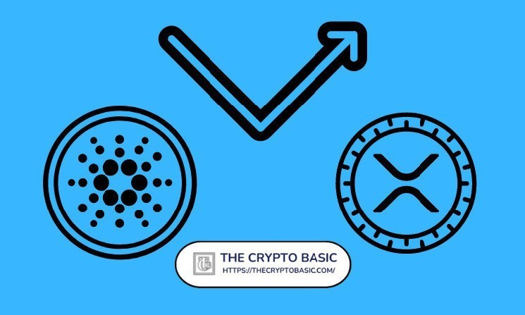 Cardano and XRP Ecosystems Partnership Looms as Tokeo Wallet Plans XRPL Integration