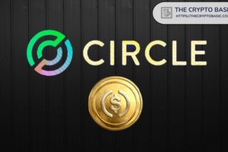 Stablecoins Will Be the Future of Global Money Movement: Circle CEO
