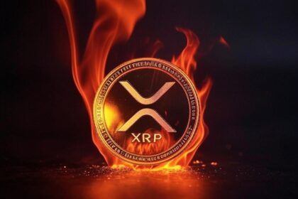 "XRP will reach $ 1,000 by 2030": Dom Kwok
