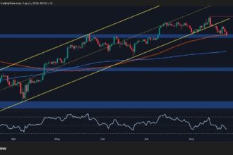 BTC at Critical Point for Bull Run Continuation