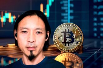 "Guess Bitcoin's maximum price is useless": Willy Woo
