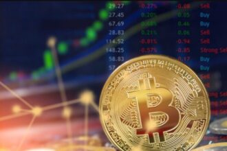 "The bitcoin bullish cycle has not ended up or joke": Carmelo German