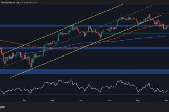 Will a Key Support Break Trigger More Losses for BTC?