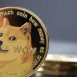 2 bullish drivers are arriving in Dogecoin