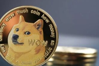 2 bullish drivers are arriving in Dogecoin