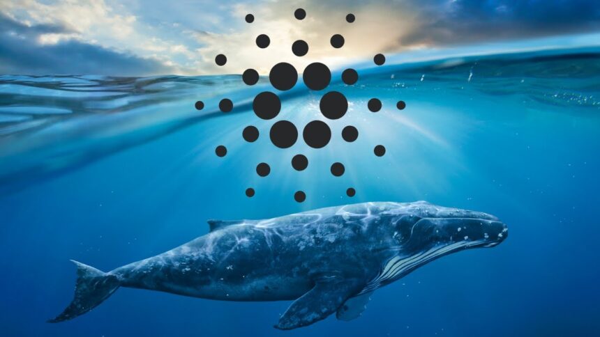 Russia eyes XRP for cross-border payments