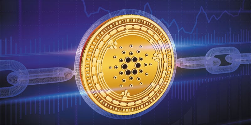 Google will make Cardano Staking (ADA)