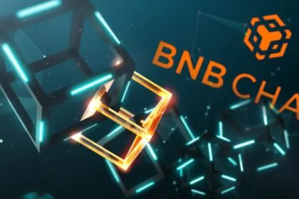 A crowd immersed itself in BNB Chain, the network created by Binance