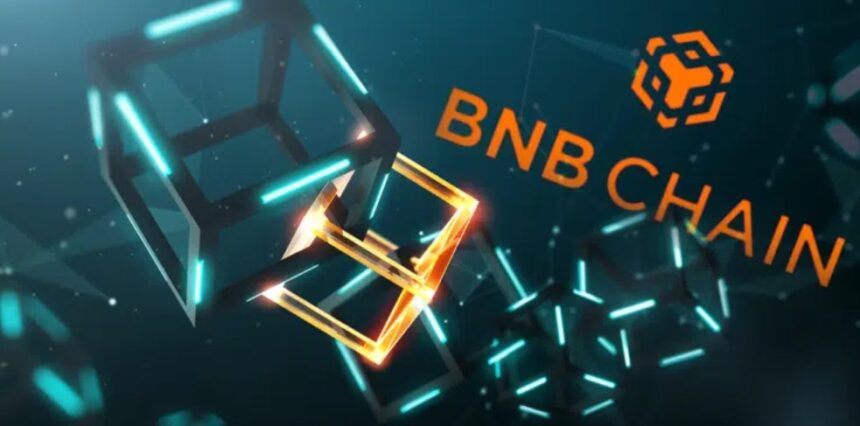 A crowd immersed itself in BNB Chain, the network created by Binance