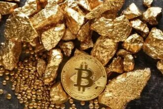 Bitcoin and gold at highs. Just speculation or are difficult times ahead?